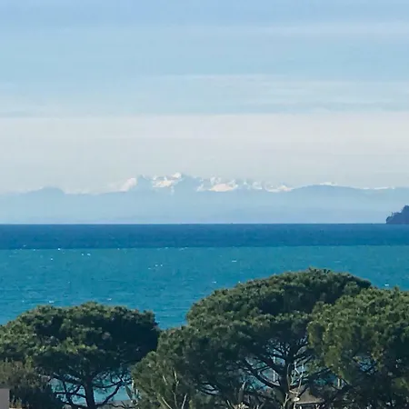 Il Leudo Лаванья